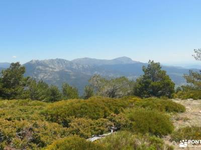 Valle de la Fuenfría - Peña Águila; grupo montaña madrid licencia montaña 2015 ciudad ducal grupo se